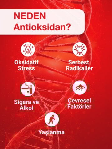 Anti-Ox Shot 14'lü Kutu