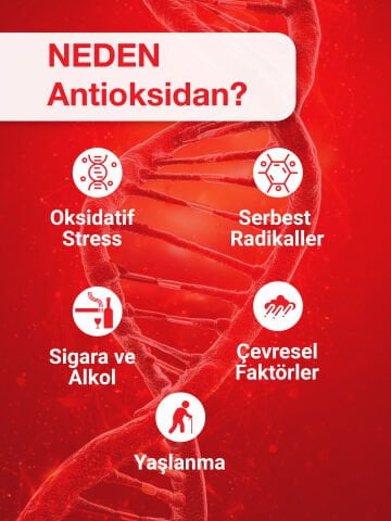 Anti-Ox Shot 14'lü Kutu